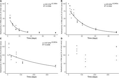 Low Turnover of Soil Bacterial rRNA at Low Temperatures